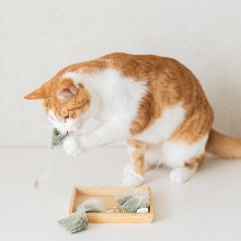 고양이 장난감 고로롱 캣닢 티백 1팩 (10T+ 꽃티백(사은품) 1T)